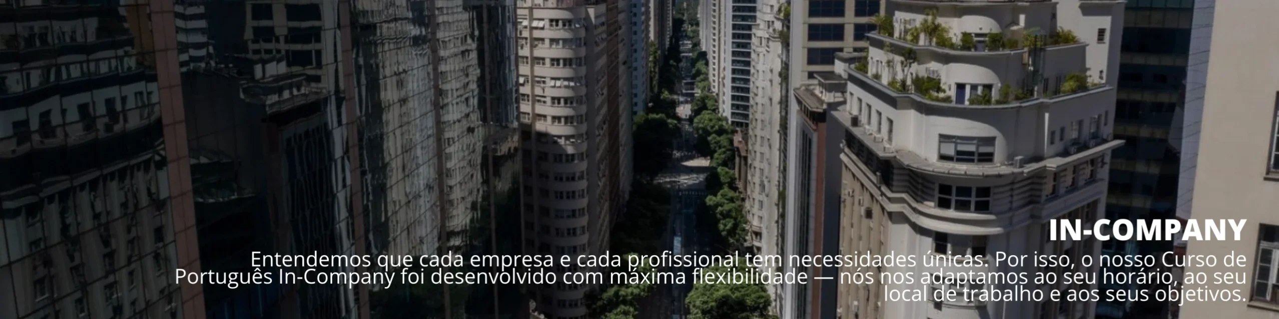 Curso de Português In-Company