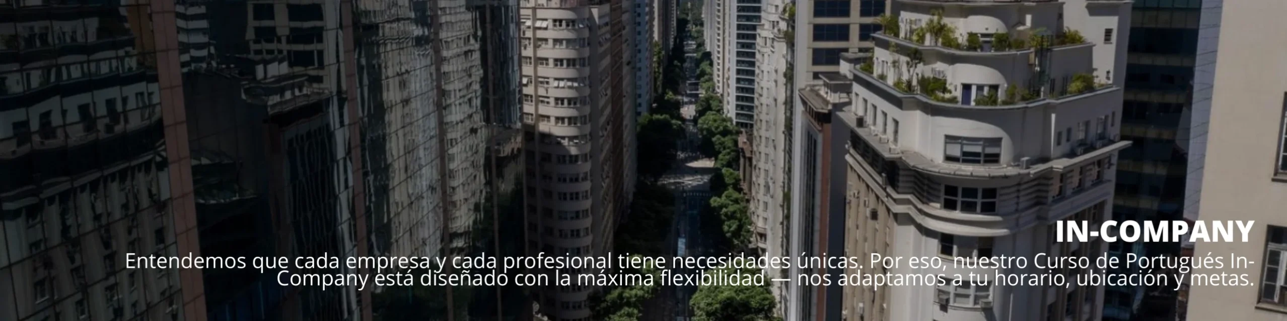 Curso de Portugués In-Company